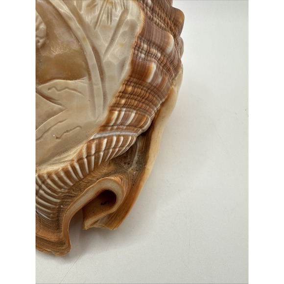 VTG Cameo Hand Carved Relief Conch Shell Pink Silhouette Lady Italian 5.25 in - Picture 3 of 5